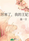《厉害了，我的王妃》封面
