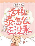 《否极泰怎么还没来》封面