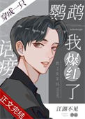 《穿成一只话痨鹦鹉我爆红了》封面