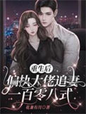 《重生后，偏执大佬追妻一百零八式》封面