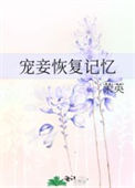 《宠妾恢复记忆》封面