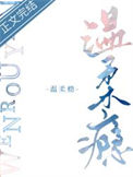 《温柔瘾》封面