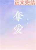 《夺爱》封面