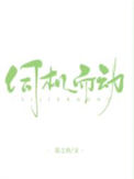 《伺机而动》封面