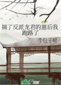 《揣了反派龙君的崽后我跑路了》封面