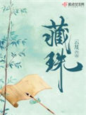 《藏珠（重生）》封面