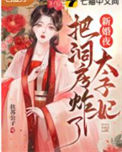 《新婚夜太子妃把洞房炸了》封面