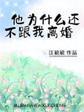 《他为什么还不跟我离婚》封面