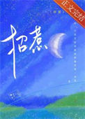 《招惹》封面
