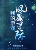 《我的游戏风靡星际》封面