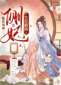 《侧妃生存指南》封面