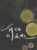 《有可能的夜晚》封面