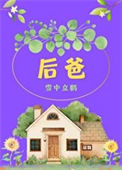 《后爸[六零]》封面
