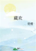 《藏欢》封面
