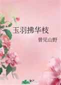 《玉羽拂华枝》封面