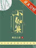 《小知县》封面