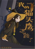 《（HP同人）[HP]我的猫头鹰迷路了》封面