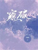 《窥破》封面