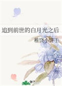 《追到前世的白月光之后》封面