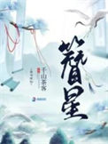 《簪星》封面