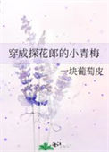 《穿成探花郎的小青梅》封面