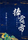 《捧霜雪》封面