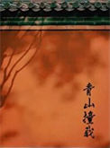 《青山撞我》封面
