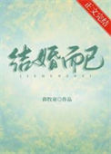 《结婚而已》封面