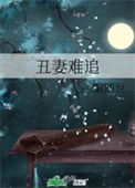 《丑妻难追》封面