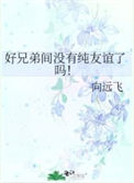 《好兄弟间没有纯友谊了吗！》封面