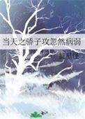 《当天之骄子攻忽然病弱》封面
