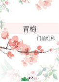 《青梅》封面