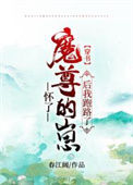 《被迫与魔尊一起养崽怎么破[穿书]》封面