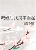 《城破后我揭竿而起》封面