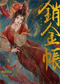 《销金帐》封面