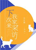 《下次来我家采访》封面