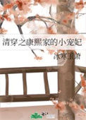 《清穿之康熙家的小宠妃》封面