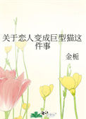 《关于恋人变成巨型猫这件事》封面