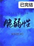 《脆弱性》封面