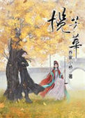 《揽芳华》封面