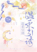 《温柔引诱》封面