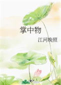 《掌中物》封面