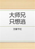 《大师兄只想逃》封面