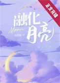 《融化月亮》封面