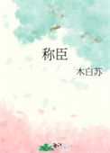 《称臣》封面