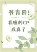 《爷青回，我嗑的cp成真了》封面