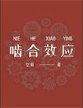 《啮合效应》封面