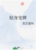 《贴身宠婢》封面
