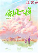 《像风一样》封面