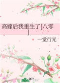 《高嫁后我重生了[八零]》封面